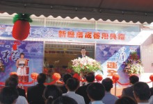 照片名稱：
